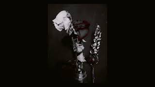 Inkubus Sukkubus - Vampyre Erotica (traducción Español)