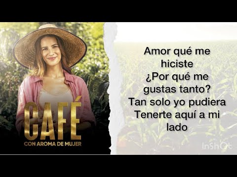 Amor Que Me Hiciste (letra/lyrics)