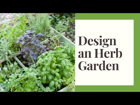 ハーブガーデンの設計: 場所を見つける際の考え