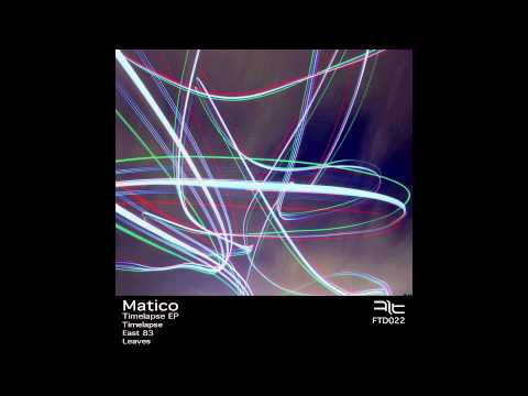 Matico - Leaves (Original)