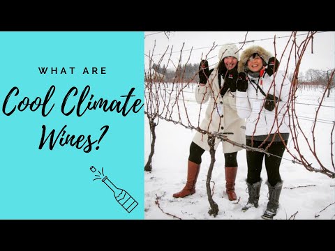 What's a cool climate wine?