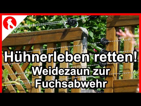 F183 Hühner sichern - Zaun unter Strom setzen ! Fuchsabwehr mit Weidezaungerät