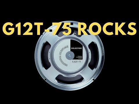 Celestion T3760 G12T-75 12" 75-Watt 16 Ohm Replacement Speaker 2010s - Silver image 3