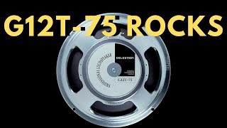 Video thumbnail for Celestion G12T-75 Doesn't Suck (Vintage Marshall JCM800 Cab) by Leon Todd
