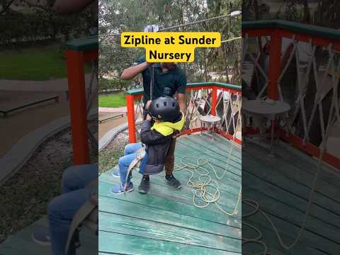 Zipline at Sunder Nursery #nursery #zipline #park #sundernursery #delhi #picnic #picnicspot #kids