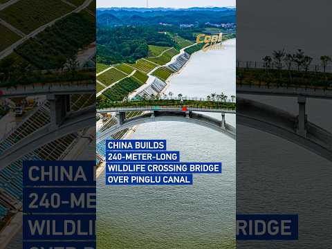 China builds 240-meter-long wildlife crossing bridge over Pinglu Canal #coolchina