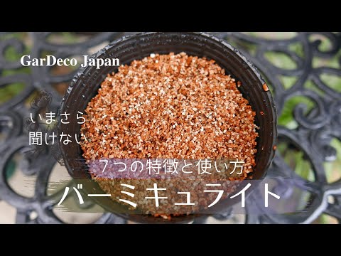 ウンビビウムについて詳しく解説