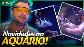 Miniatura do vídeo