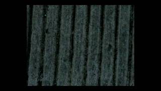 How Is The Weather Up There? | Music Video | Stanley Clarke