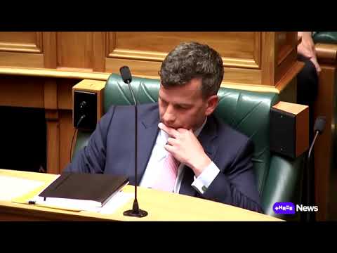 David Seymour Can't Stop Lying And Luxon Can't Stop Him #MT