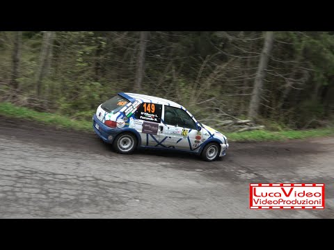 45° Rally Valle D'Aosta 2024 D'Alberto-Ferrando 106 N2 - Passaggi esterni