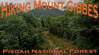 Hiking Mount Gibbes - Pisgah National Forest