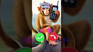 Download lagu Monkey calling 🐒🫣 #bestrington #monkey #iphone #shortvideo #shorts #short #viringtone #viralshort mp3