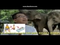 Cak Lontong - Bulan Eliminasi Kaki Gajah PSA (with Jarwo Kwat)