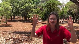 Entrevista- Mélani Schmidt (Versão integral)