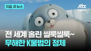 '씰룩씰룩'에 전 세계 홀렸다…무해한 K물범의 정체｜지금 이 뉴스 (JTBC News)