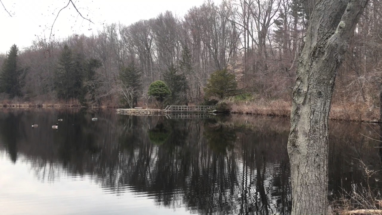 Gone Missing | Official Trailer