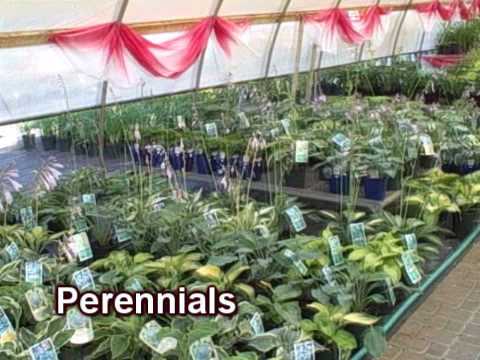 Summerwalk at Grobe Nursery