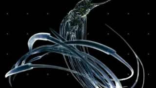 Hundred Reasons - Feed The Fire