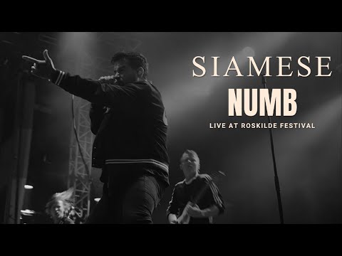 Siamese  - Numb (Live at Roskilde Festival)