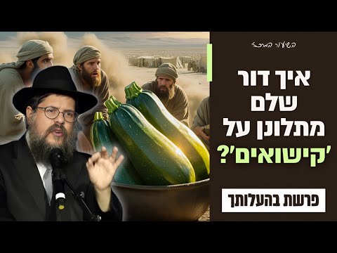 קישואים עכשיו: איך ומתי מותר להתלונן להשם? הרב שניאור אשכנזי פרשת בהעלותך תשפ"ה
