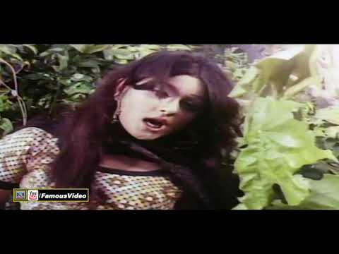 MAIN HOYI DANVA DOL - NOOR JEHAN - FILM SHAREEF BADMASH
