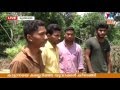 Stoning Wild Elephant And Kid In Wayanad Youth Surrender Manorama Online