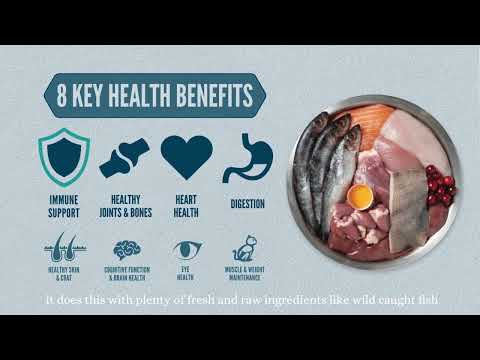 ORIJEN Cat Food | Biologically Appropriate Nutrition for Cats – Now on Sale at My Rainbow Pets! 🐱✨