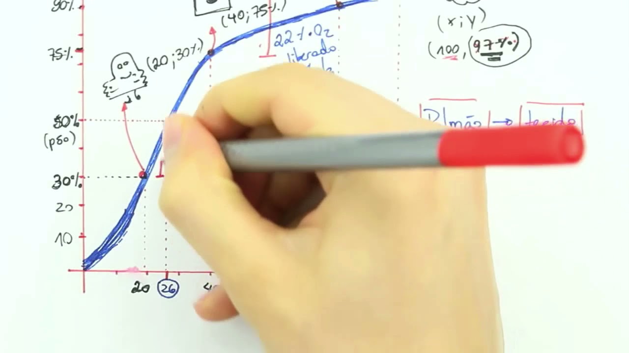 CURVAS DA HEMOGLOBINA - MUITO FÁCIL