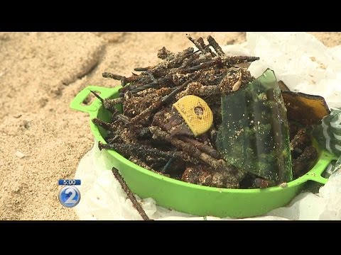 Rusted nails plague beachgoers as illegal bonfires continue on Oahu