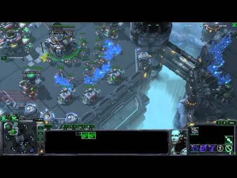 Comment défendre un Canon rush. Quinkin (T) vs Adelscott (P)