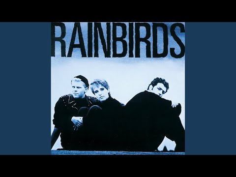 Dancer - Rainbirds