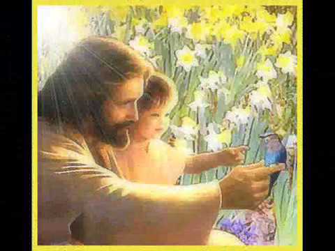 Alin Girlea  Vine o zi