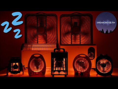 Warm Breeze & Soft Fan Sounds | Comforting White Noise for Sleep & Study