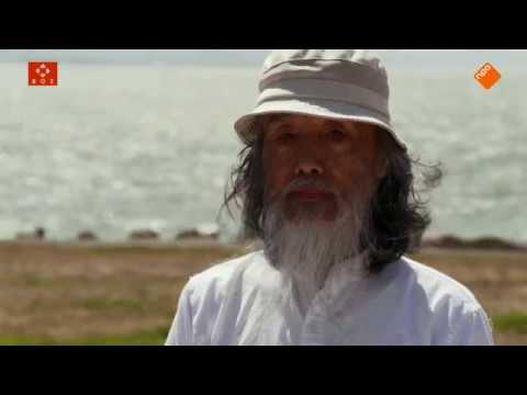 Zen Brush Mind   Leven en werk van Kazuaki Tanahashi 20131027