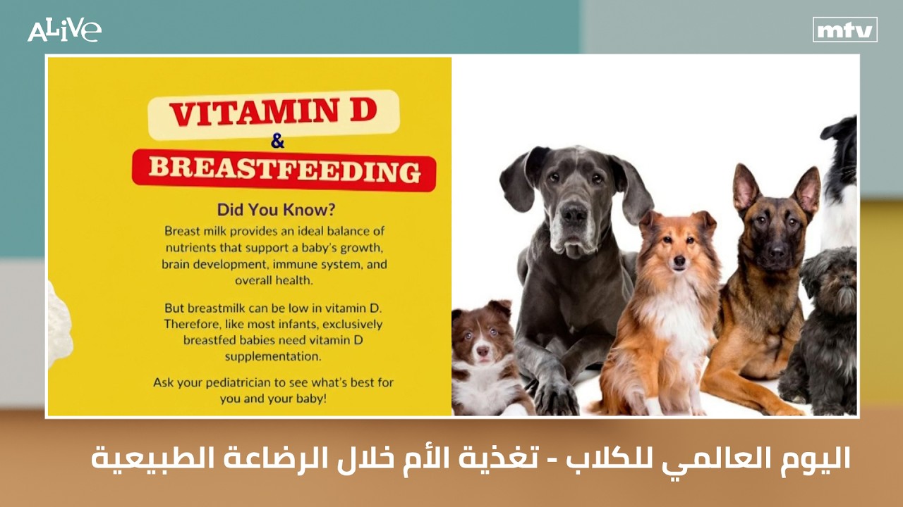 اليوم العالمي للكلاب - تغذية الأم خلال الرضاعة الطبيعية