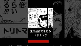 【1156話】トリトマが恋をしたのはモンキー・D・ドラゴン!?#shorts