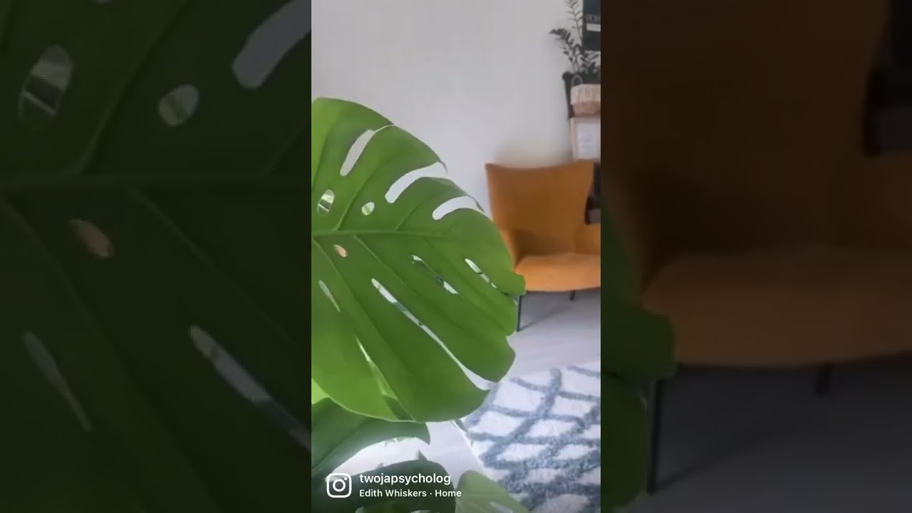 Justyna Błachowiak-3