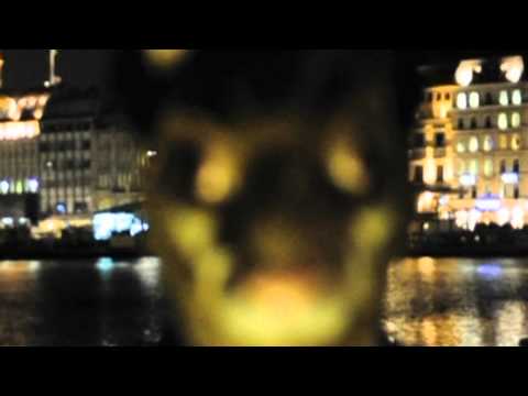 Francesco Diaz & Young Rebels - Hamburg (Official Video)