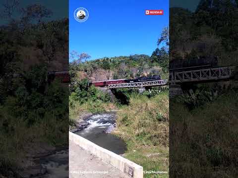 🇧🇷  Trem na ponte / Train on the bridge - (Brasil) #steamlocomotive #trainspotting #train