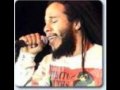 Ziggy Marley All day all night