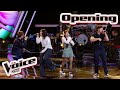 Ein Fulminantes Opening Die Coaches Singen Lila Wolken Blinds The Voice Kids 2025