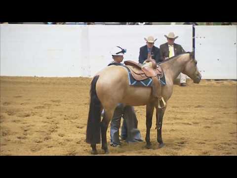 Ann Reusser - 2011 Congress Freestyle Non Pro Reining Champion Bareback and Bridle-less