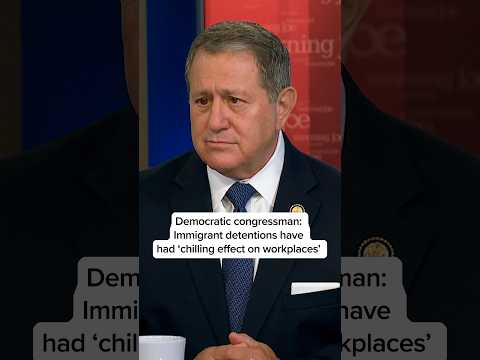 Democratic congressman: Immigrant detentions have had ‘chilling effect on workplaces’