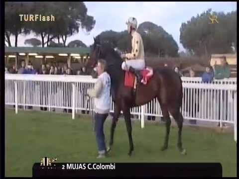 Turflash 124 Premio Pisa