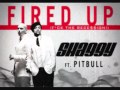 Pitbull ft. Shaggy "Fired Up" (F*** the Recession ...