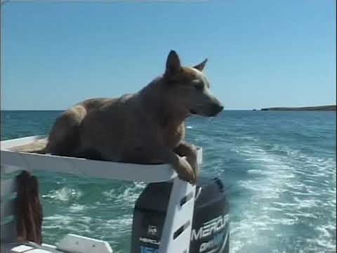 Malcolm Douglas - Australia - The Coral Coast  (2001)