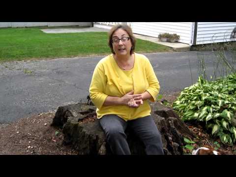 Saturday afternoon movie reviews