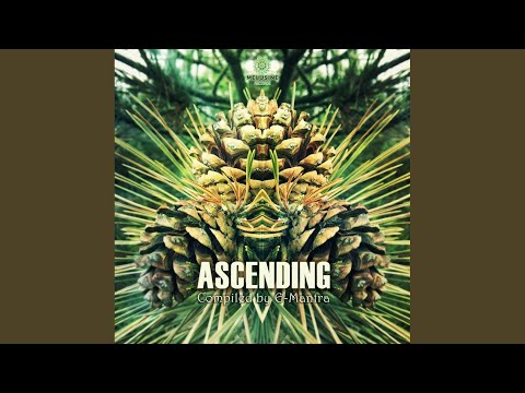 Flower Nebula (Original Mix)