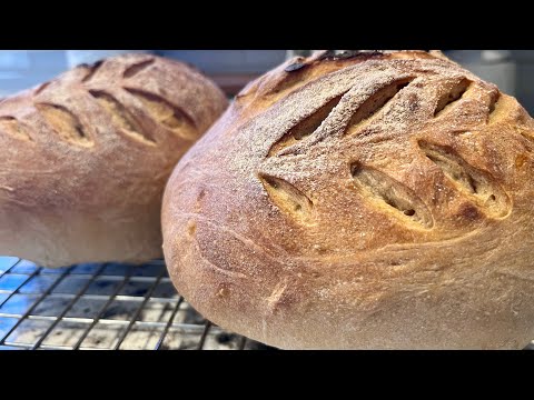 Sourdough Guinness (Beer Bread) ~ Quick Recipe 🍀🍀